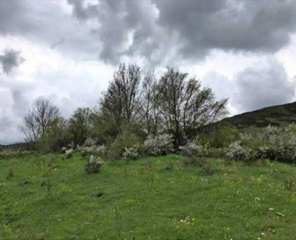 Terreno en venta en Hermandad de Campoo de Suso