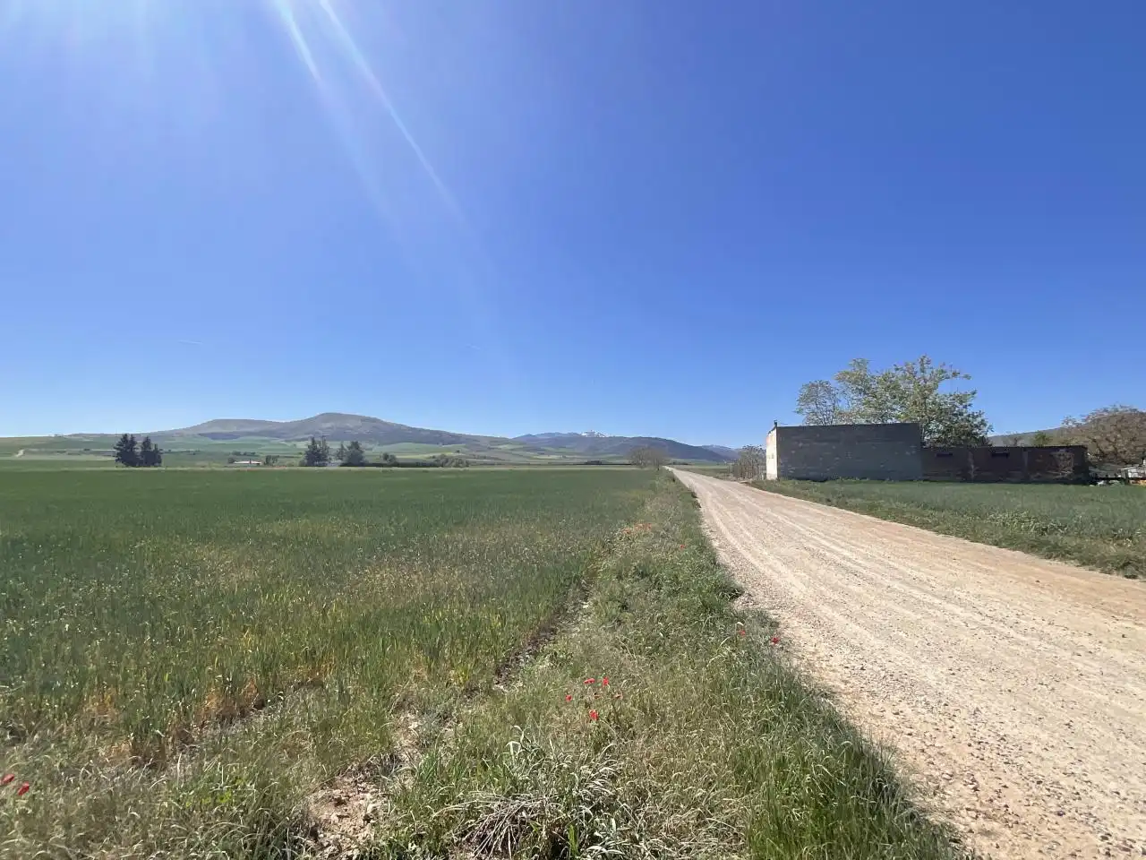 Terreny rústic en venda a Santo Domingo de la Calzada, imagen 3