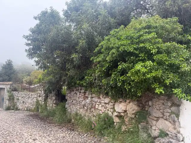 Terreni e lotti in vendita a Puente la Trampilla, imagen 6