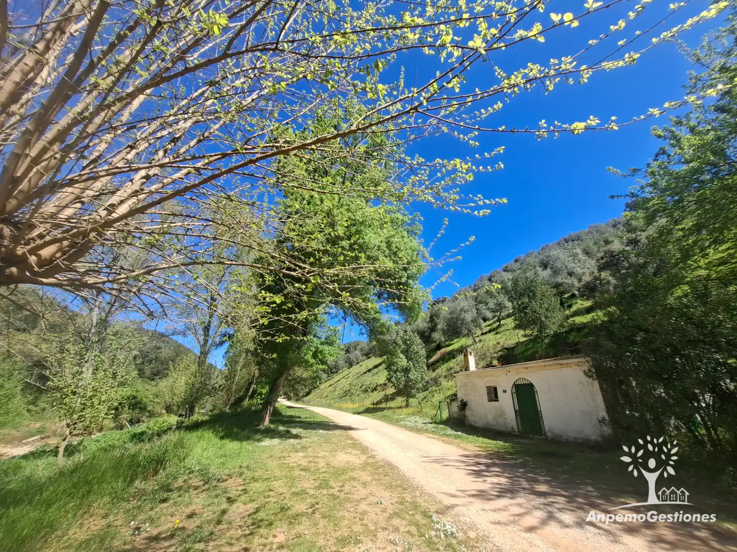 Terreni e lotti in vendita a Camino de la Ermita 18, imagen 5