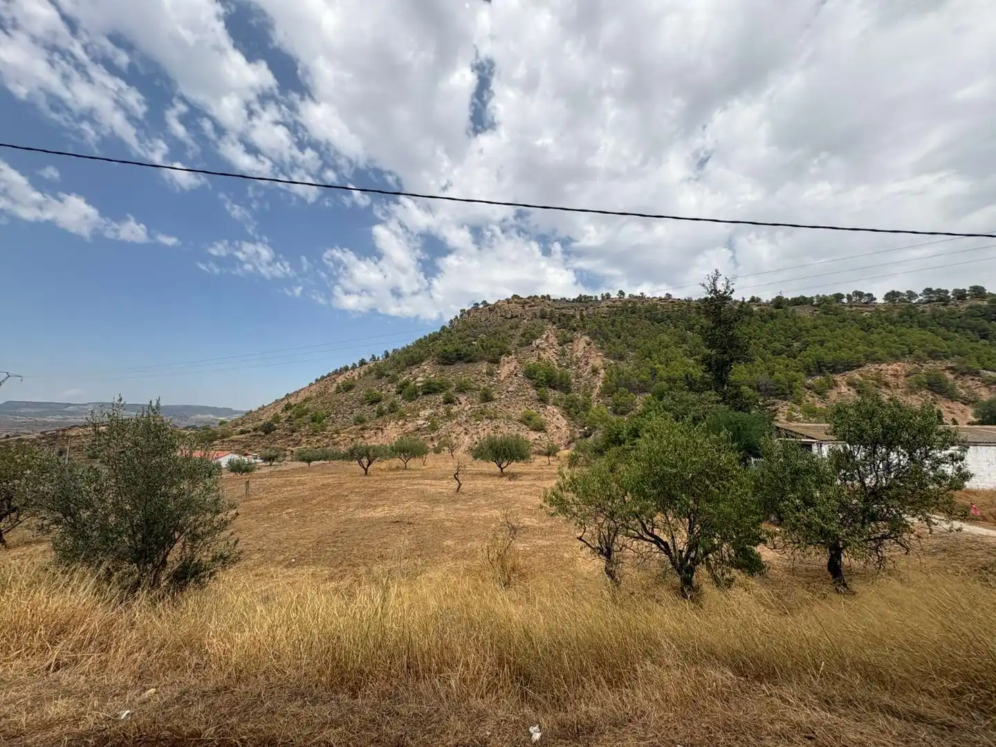 Terrenos y solares en venta en Pliego, imagen 5
