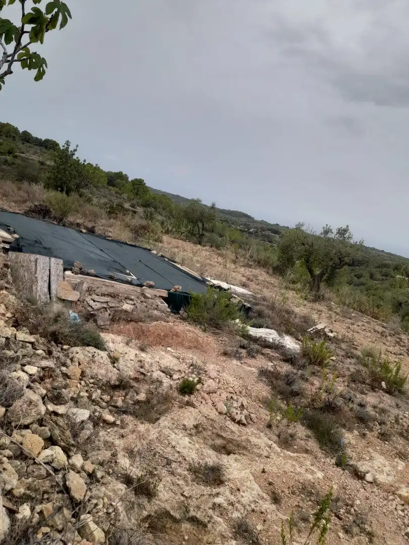 Rural land for sale in Salomó, imagen 10