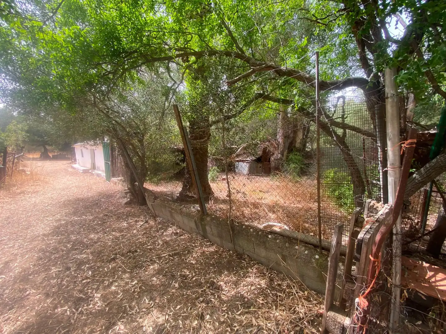 Terreni e lotti in vendita a Alcalá de los Gazules, imagen 53