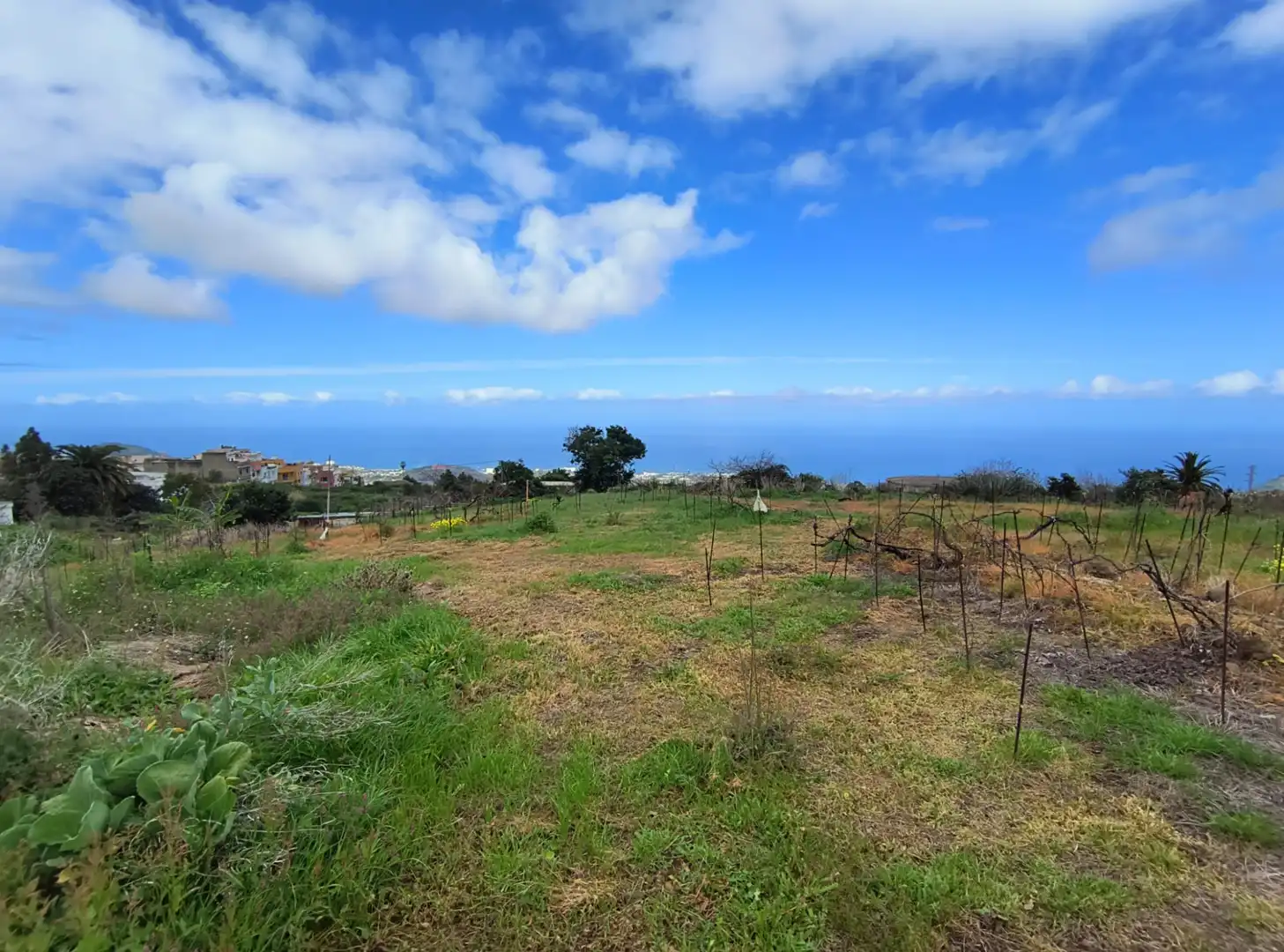 Houses for sale in La Orotava  with Private garden, Terrace and Storage room