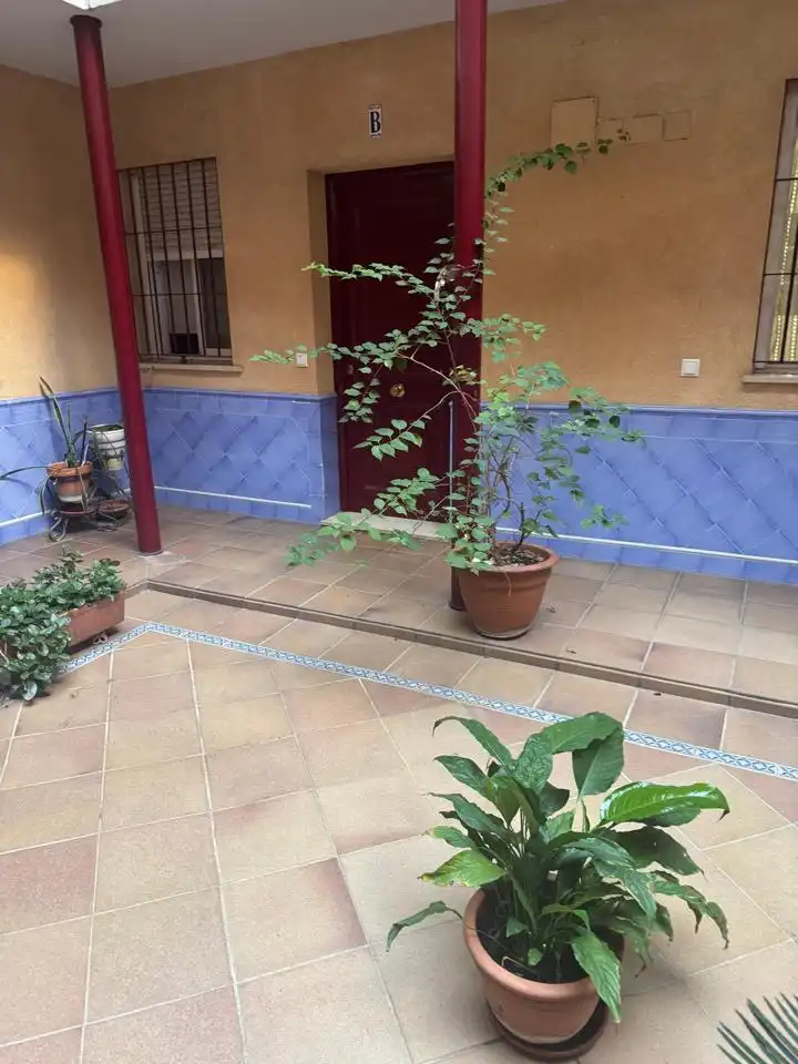 Ground floor with pool to rent in Casco Antiguo, imagen 2