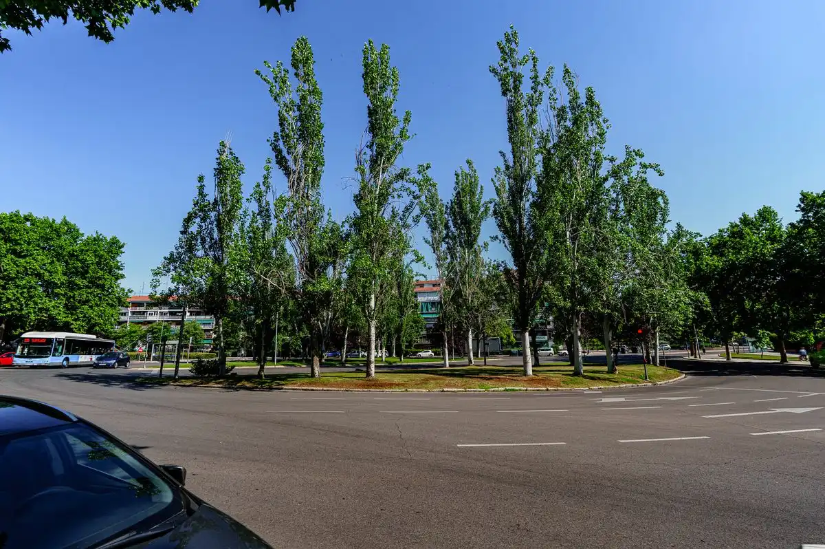 Vista exterior de Planta baixa en venda en Madrid amb Calefacció
