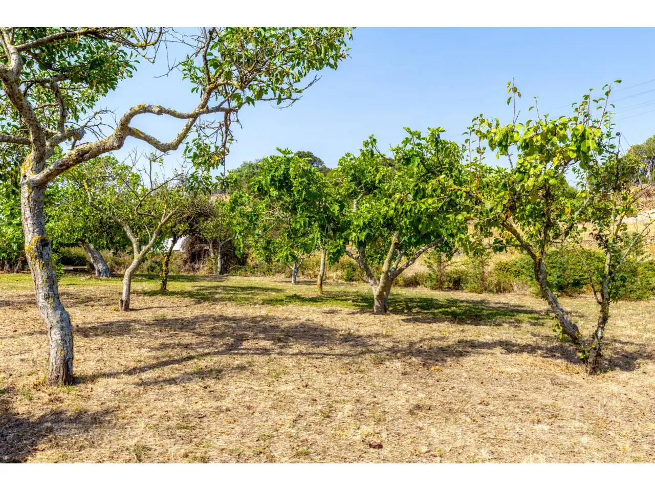 Finca rústica en venda en Es Migjorn Gran amb Jardí privat i Terrassa