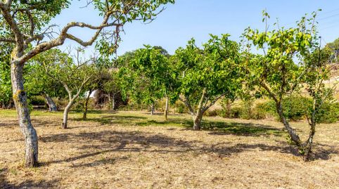 Foto 4 de Finca rústica en venda a Es Migjorn Gran poble, Es Migjorn Gran