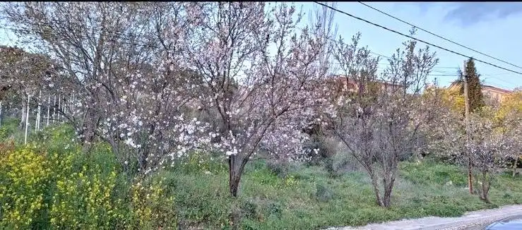 Terreni e lotti in vendita a Fresnedillas de la Oliva, imagen 7