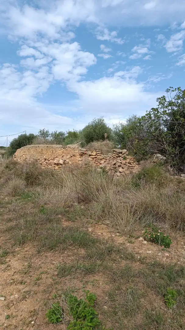 Rural land for sale in Alcossebre, imagen 6