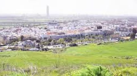 Oportunidad de Inversión Suelo Terciario Estratégico en el Aljarafe, imatge 2
