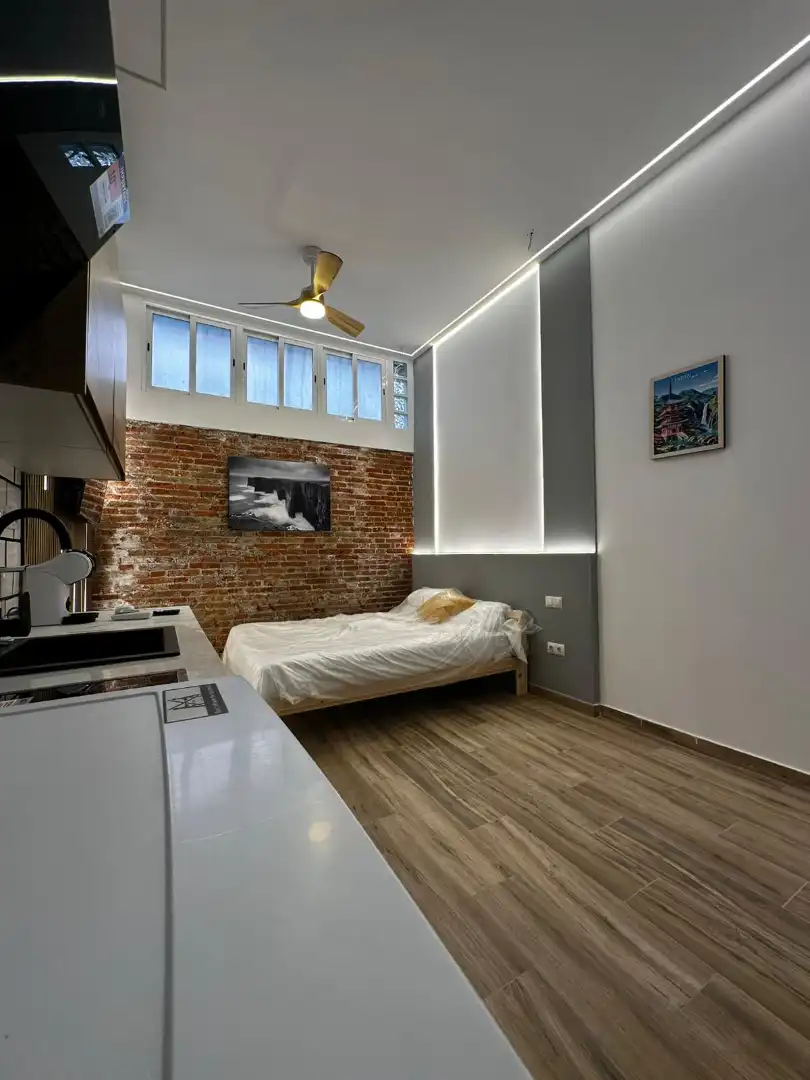 Monolocale in affitto a Calle Pinos Alta, imagen 5