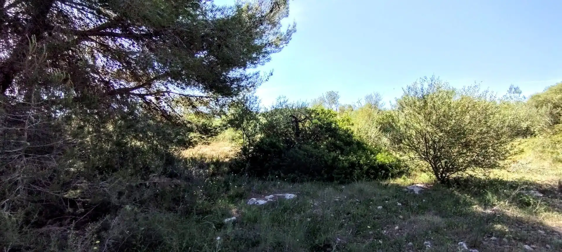 Rustikales Grundstück zum Verkauf in Manacor Centre, imagen 5