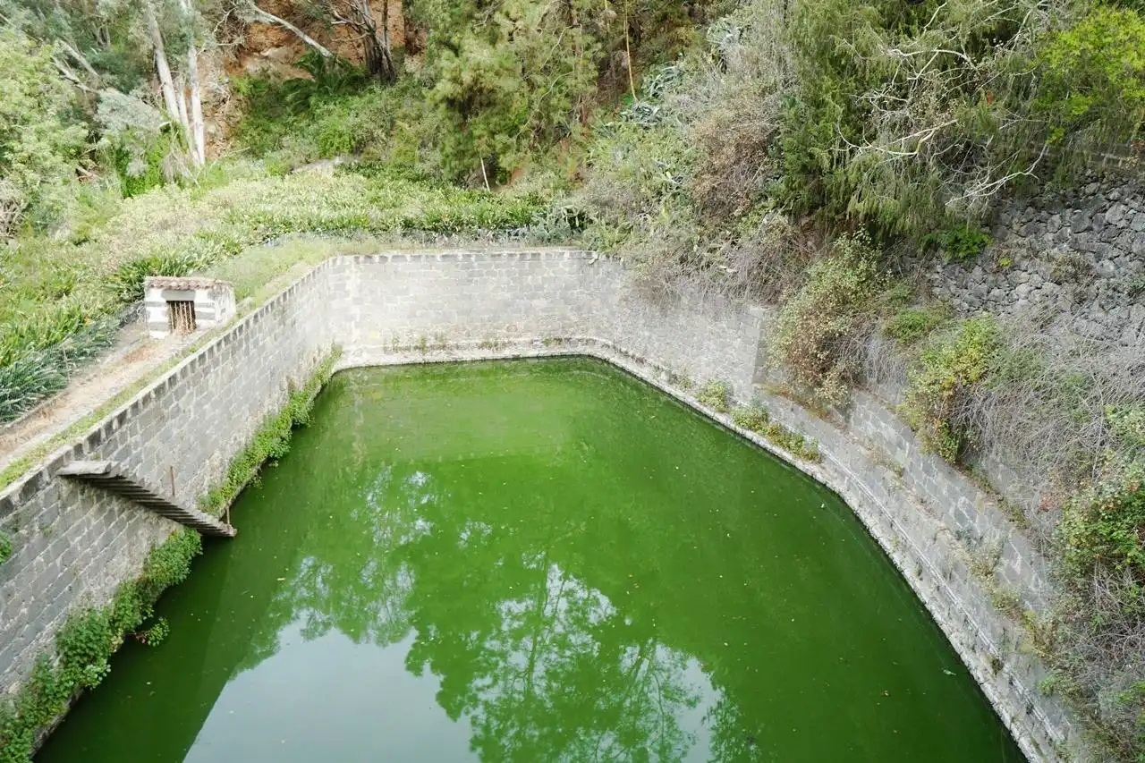 Piscina de Finca rústica en venda en Teror amb Jardí privat i Terrassa
