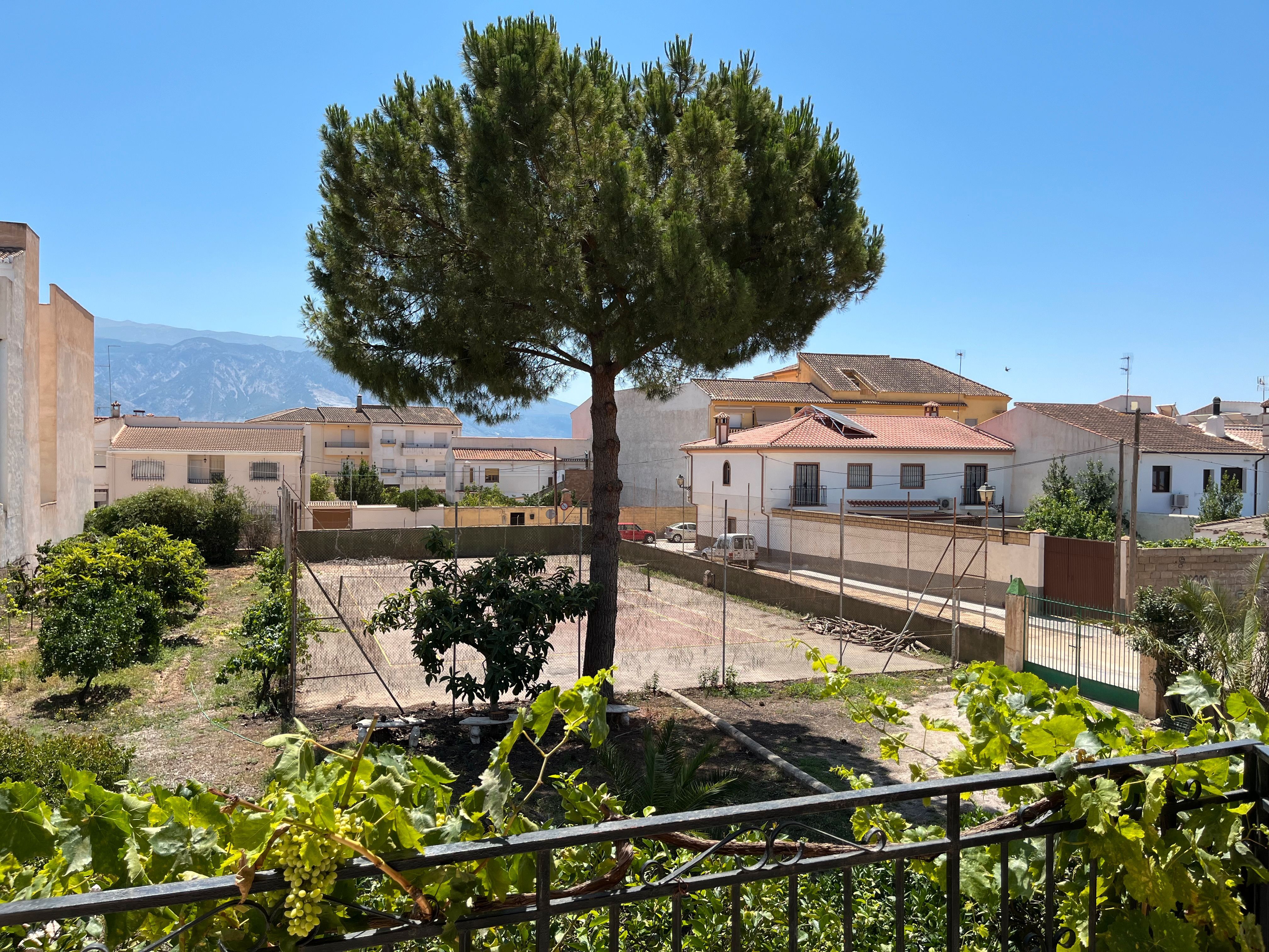 Garden of House or chalet for sale in Padul  with Private garden, Terrace and Swimming Pool