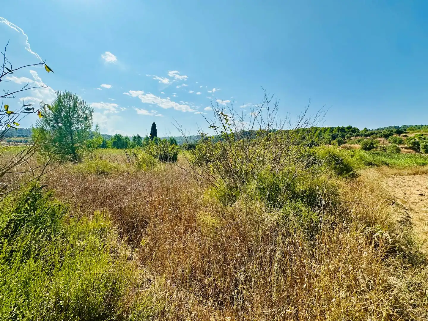 Terreno rustico in vendita a Lledó, imagen 10