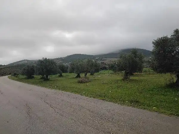 Rustikales Grundstück zum Verkauf in Puerto Serrano, imagen 7