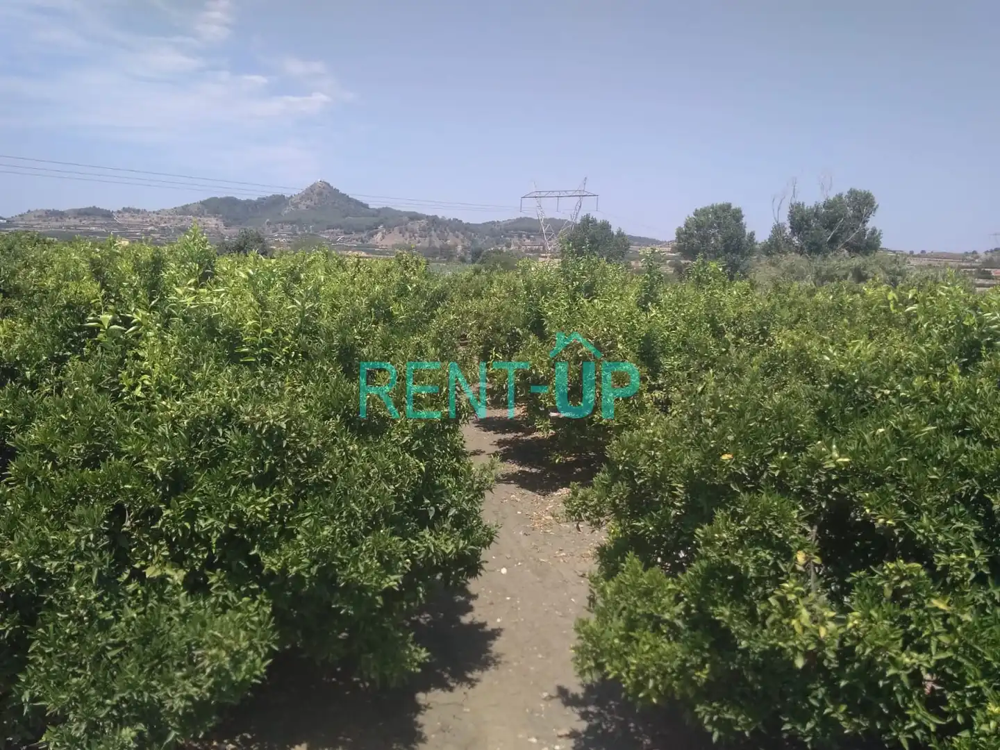Terreny residencial en venda a Xàtiva, imagen 14