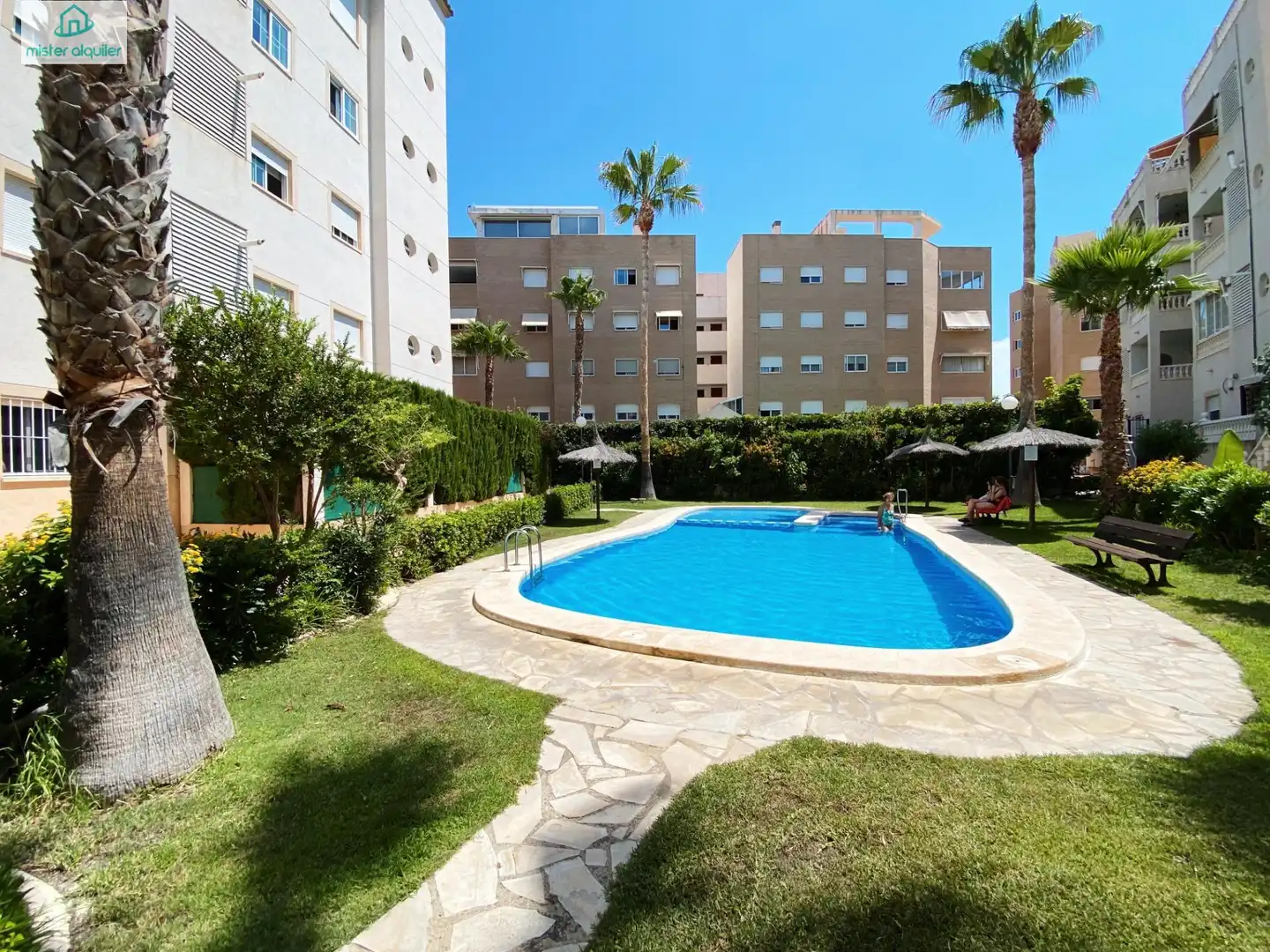 Mini appartamento con terrazza in affitto a BRITANIA 29, imagen 12