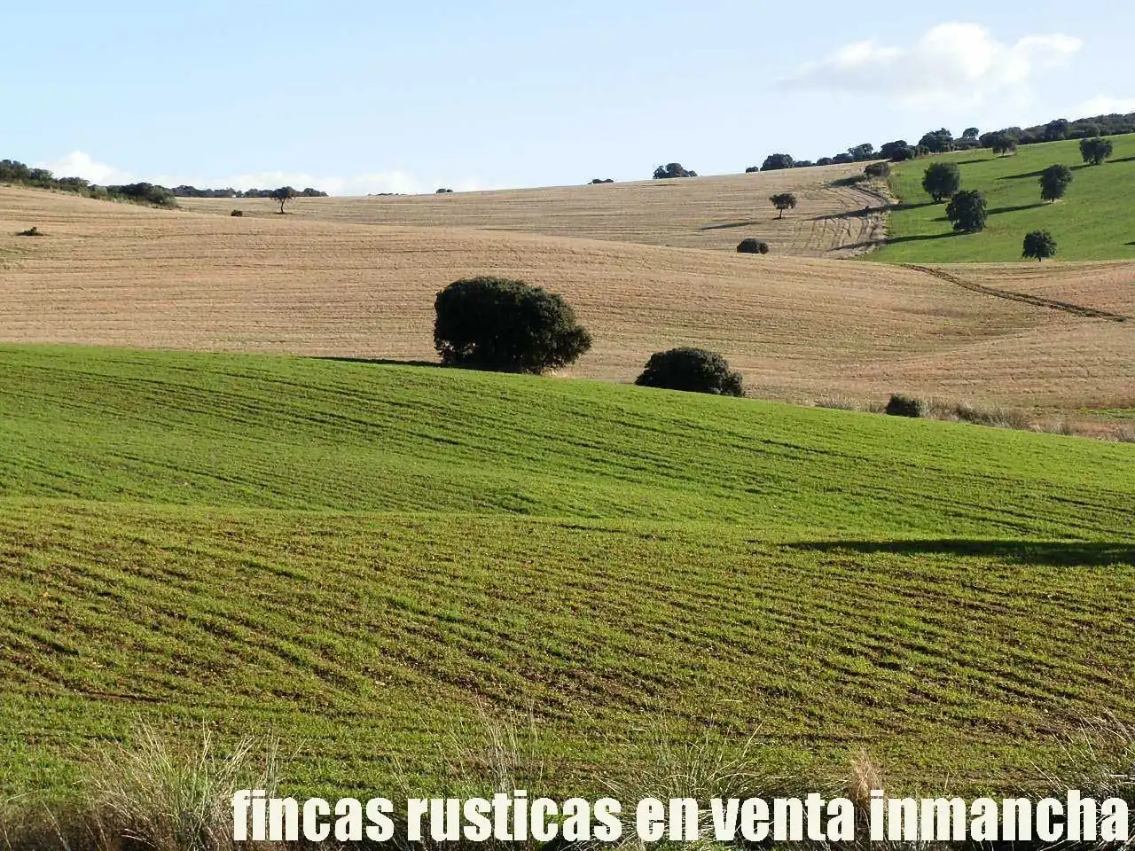 Terreny rústic en venda a Viso del Marqués, imagen 5
