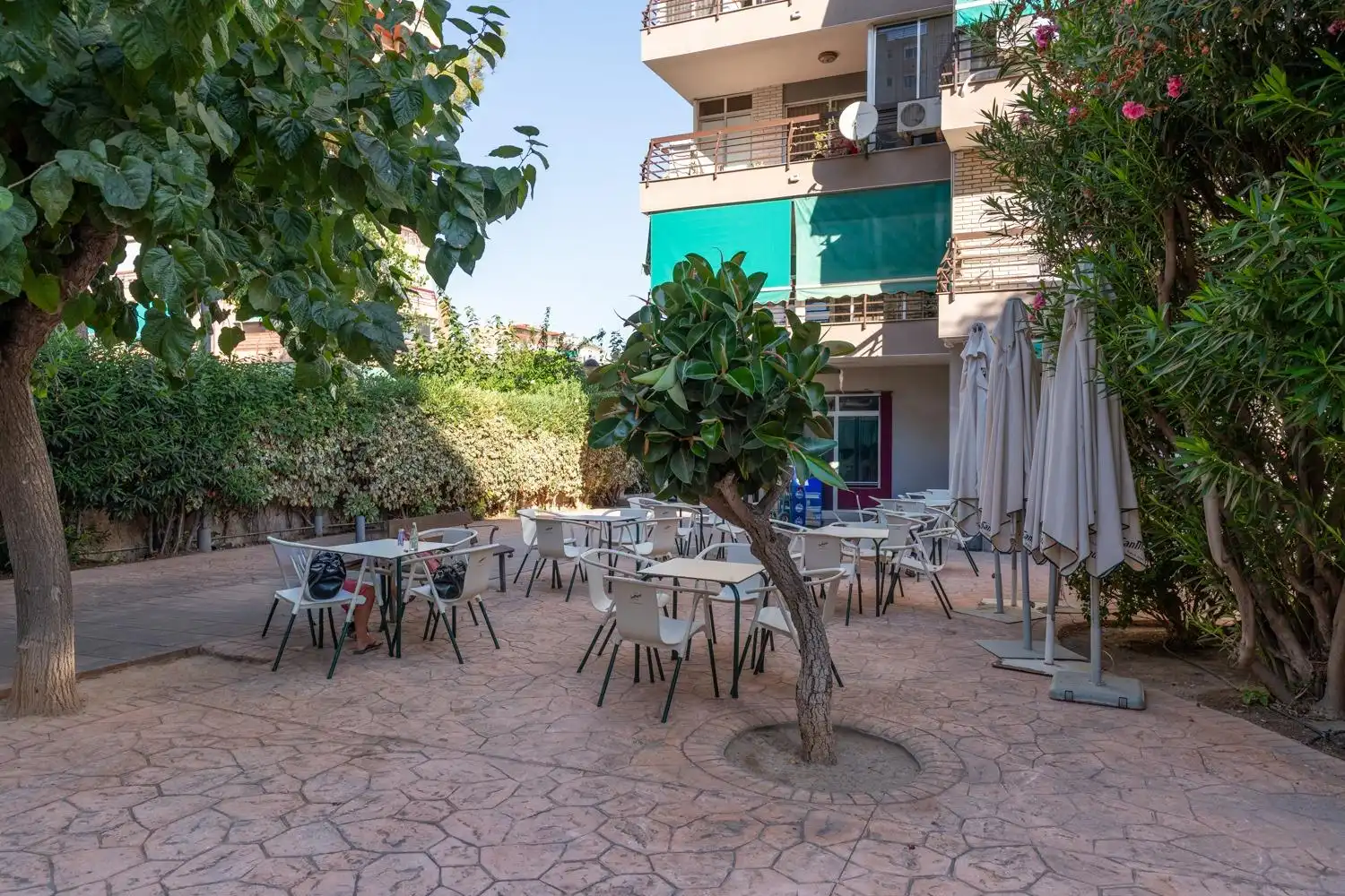 Local comercial en venta en Playa de San Juan - El Cabo de las Huertas, imagen 17