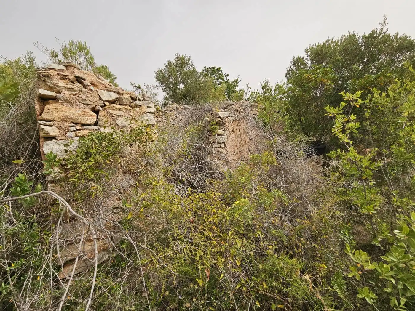 Terrain rustique à vendre à Carrer de les Muralles 1, imagen 5