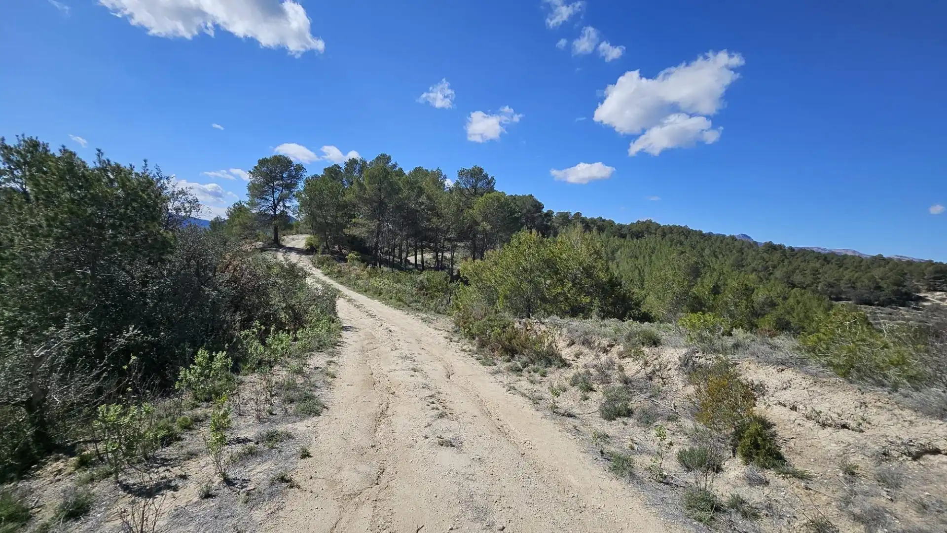 Terrain rustique à vendre à Millena, imagen 23