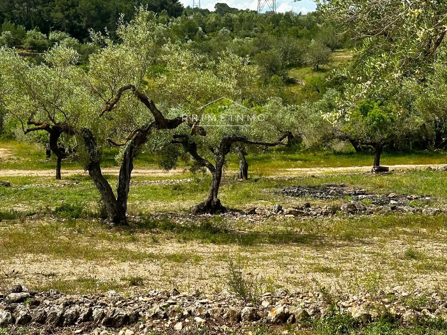 Terreno rústico en venta en Tivissa, imagen 71