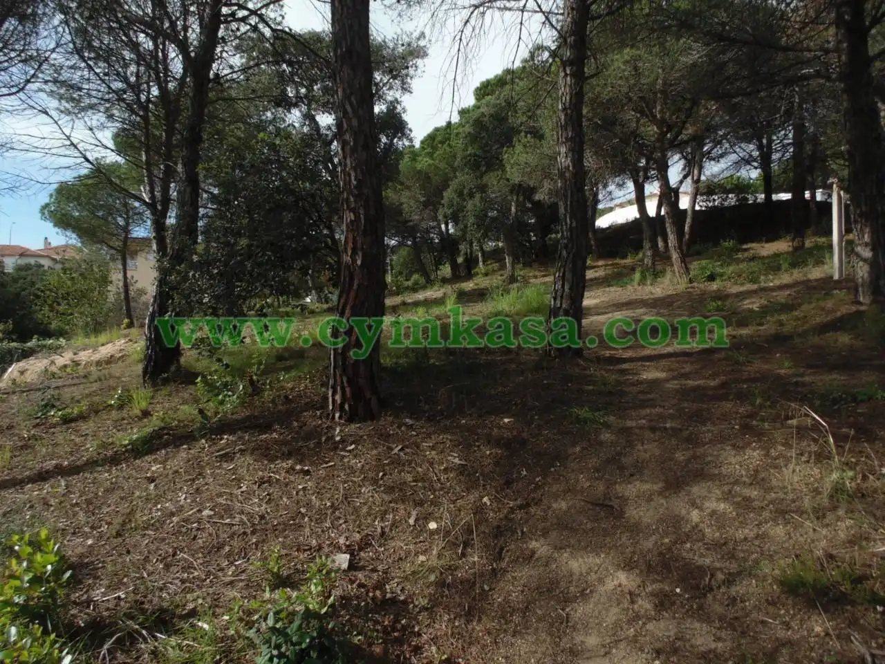 Terreno rustico in vendita a Mas Mora - Sant Daniel