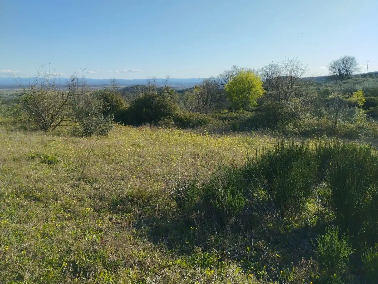 Terreni e lotti in vendita a Viandar de la Vera, imagen 21