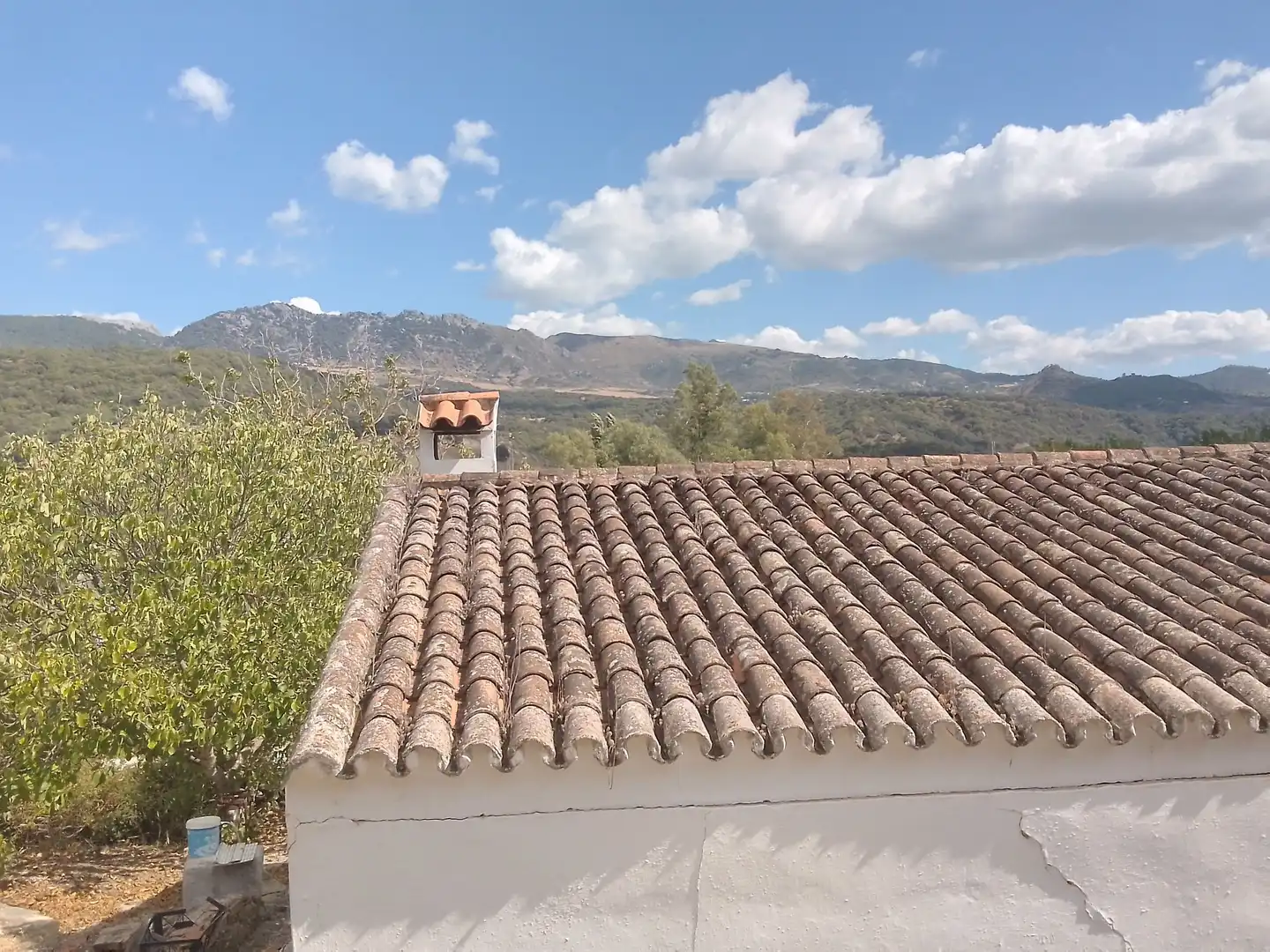 Terrain rustique à vendre à Cortes de la Frontera, imagen 3