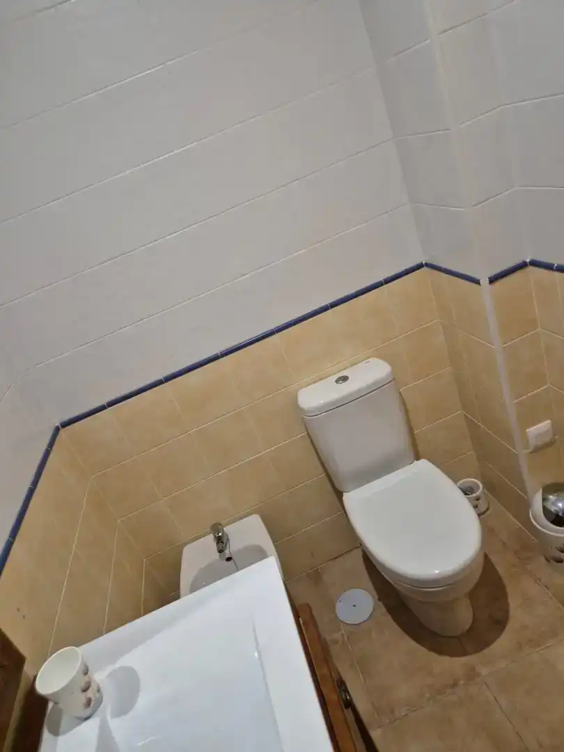Badezimmer von Wohnung zur Miete in Nevada, Granada