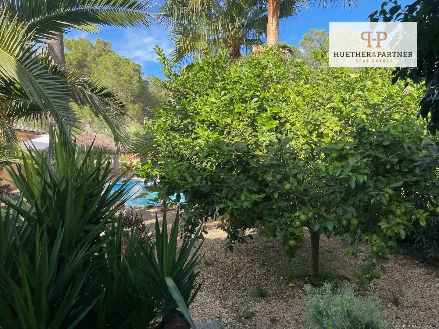 Maison avec piscine à vendre à Cala Murada, imagen 51