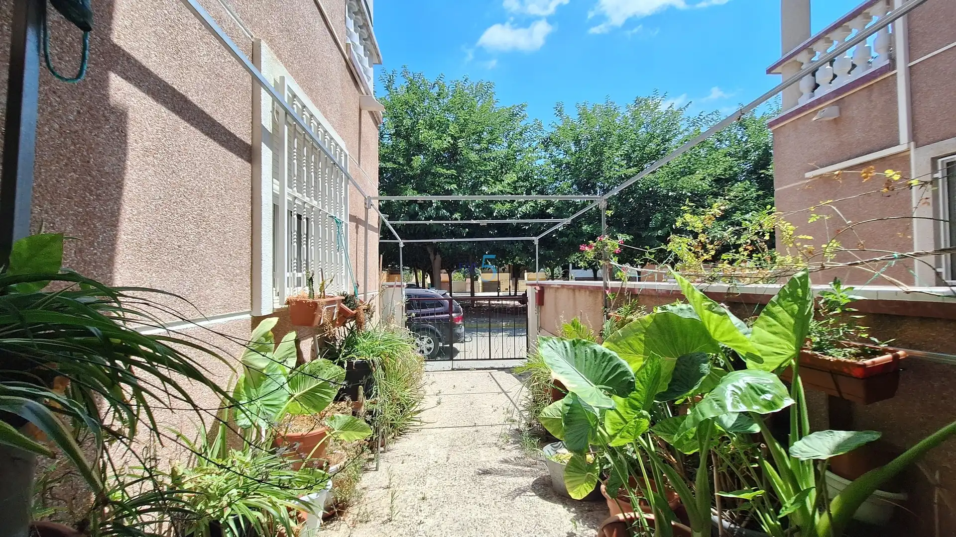 Jardín de Casa o chalet en venta en Almoradí con Terraza, Trastero y Amueblado