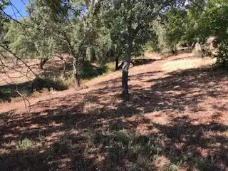 Terreni e lotti in vendita a Cortegana, imagen 12