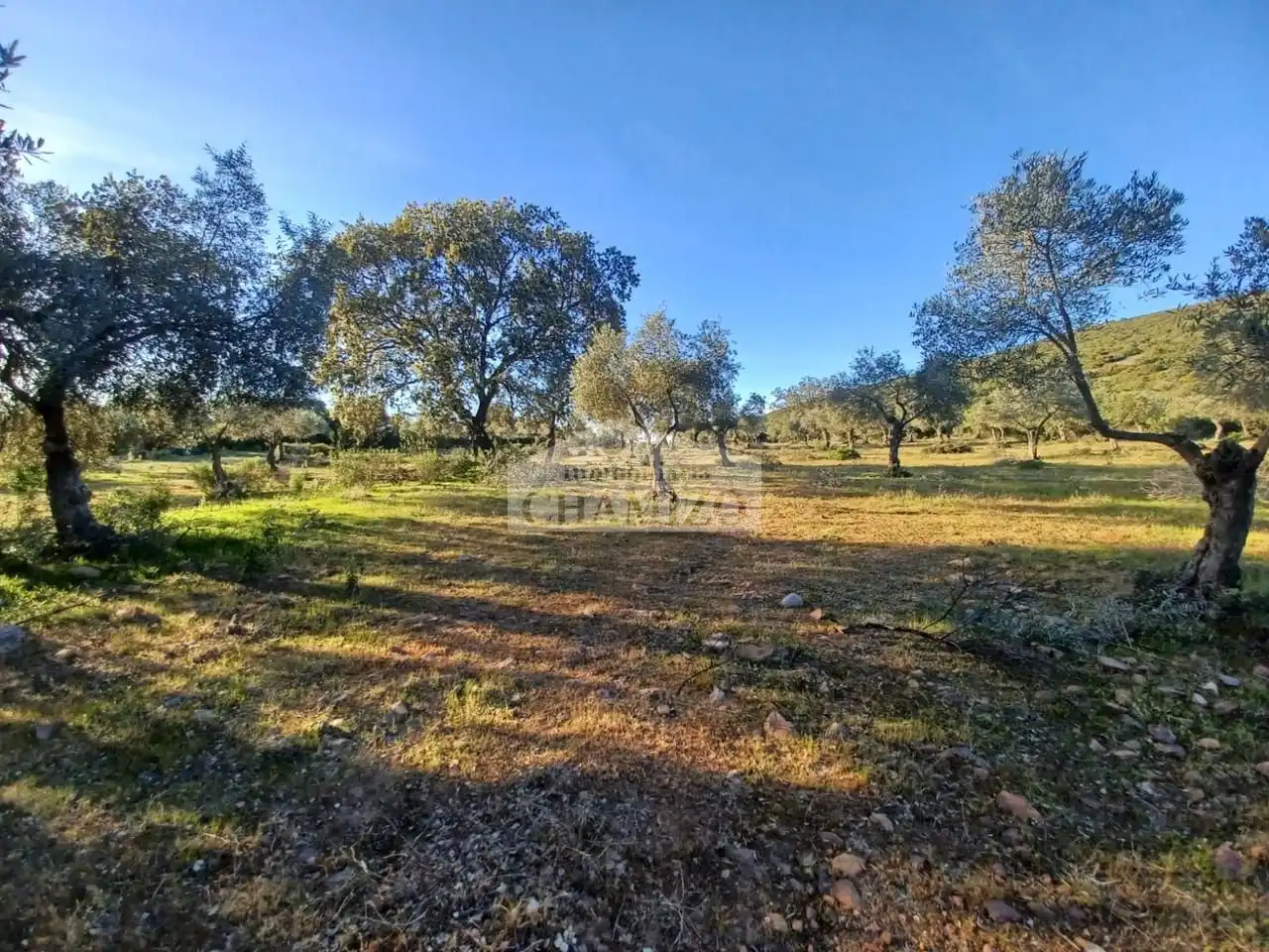 Grundstücke zum Verkauf in Peraleda del Zaucejo
