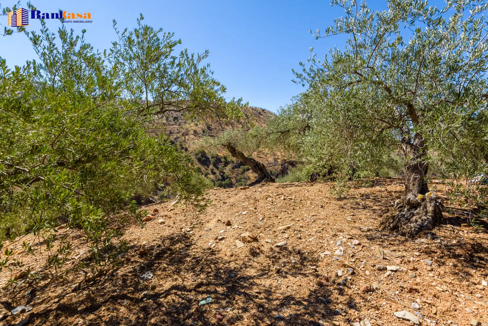 Finca rústica en venta en Álora con Jardín privado y Trastero
