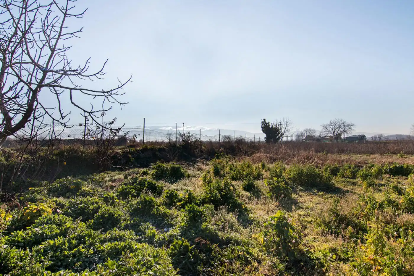 Land for sale in Granada