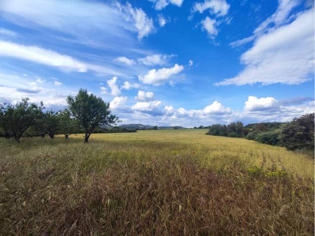 Terreno en Venta en Salas Altas