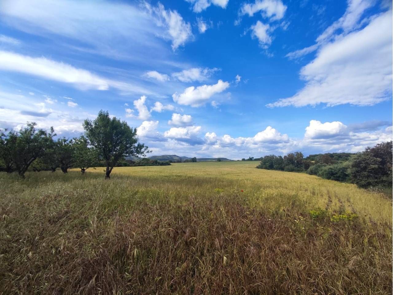 Grundstücke zum verkauf in Salas Altas