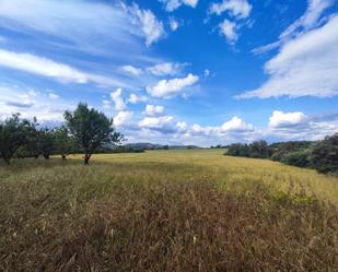 Land for sale in Salas Altas