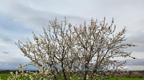 Photo 2 of House or chalet for sale in Sant Guim de la Plana, -1, Sant Guim de la Plana, Lleida