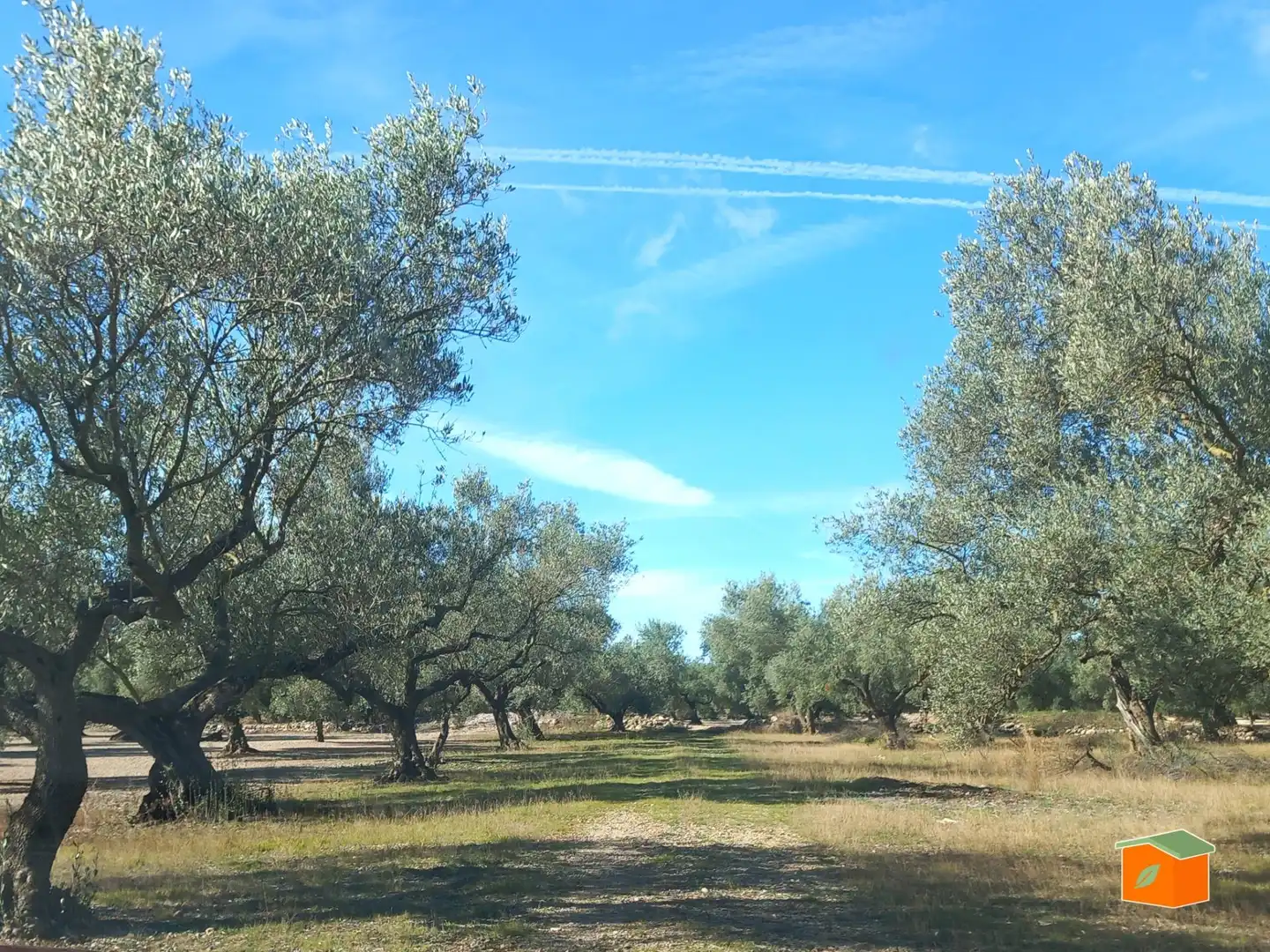 Terreno rustico in vendita a Mas de Barberans, imagen 10