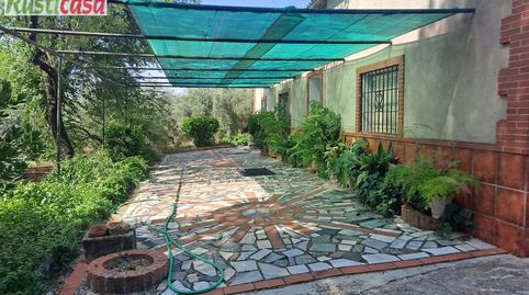 Photo 5 of Houses for sale in Angulo, Guarromán, Jaén