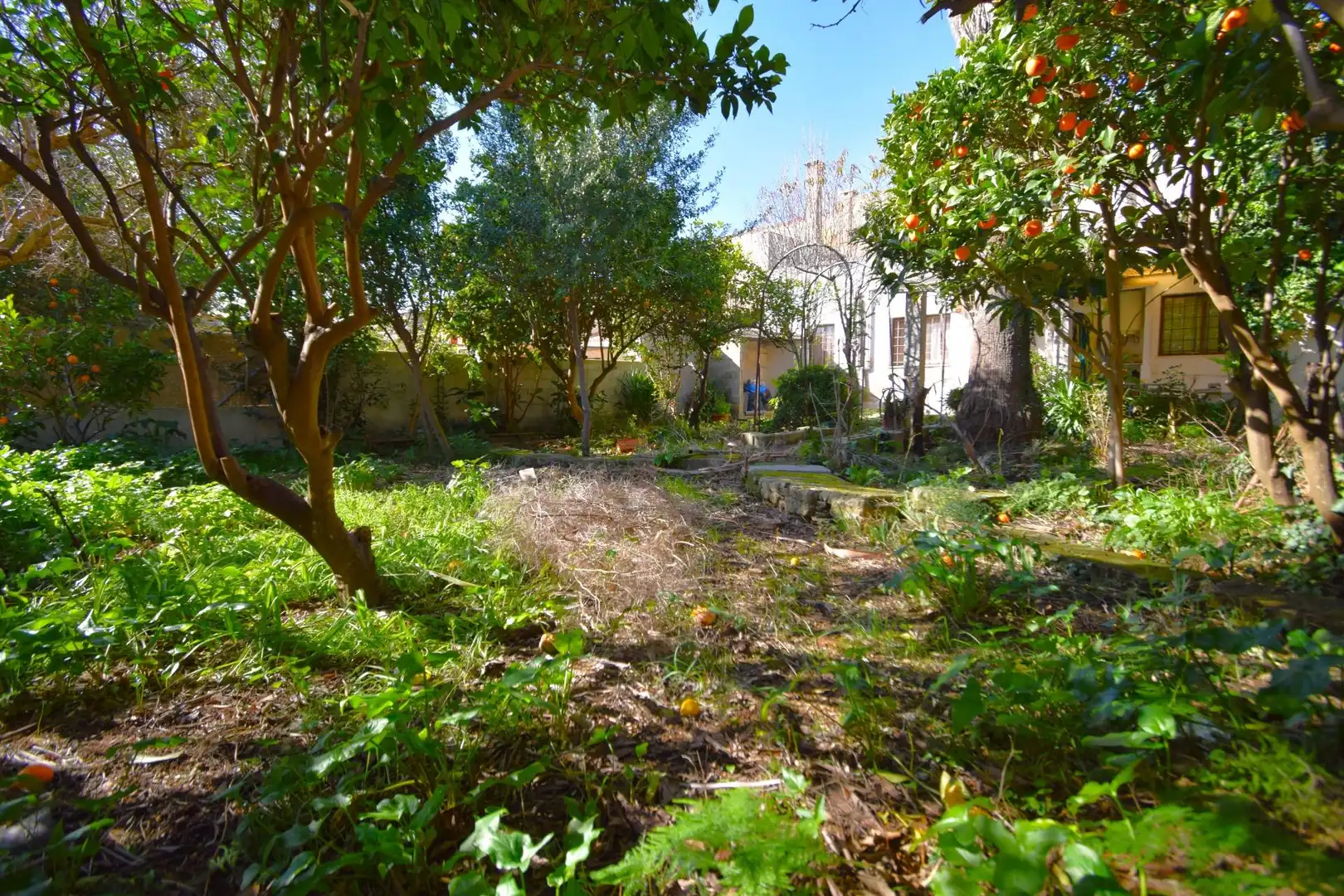 Casa con jardín en venta en Campanet, imagen 24