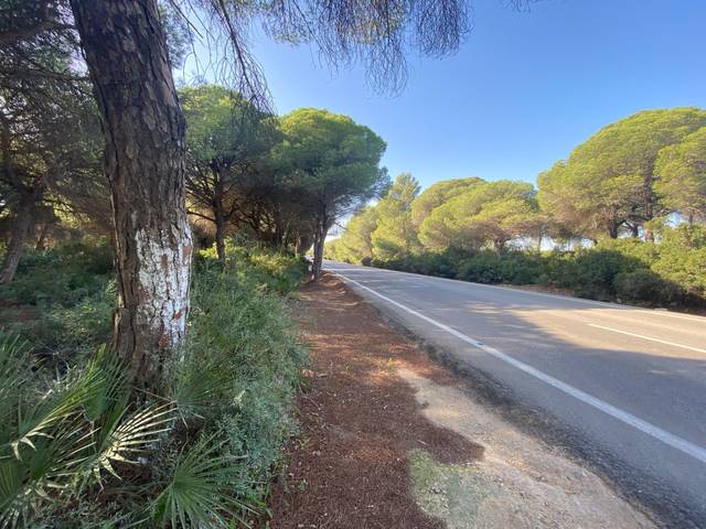 Terreno en Venta en Carretera de medina  en El Almedral
