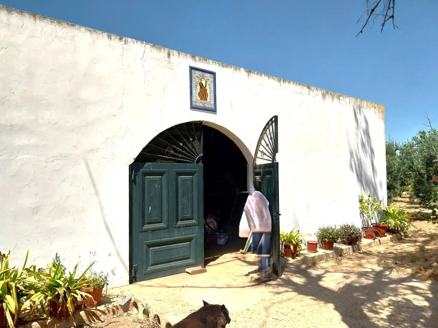 Finca rústica en venta en Carmona