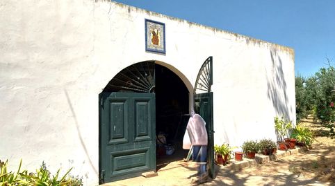 Foto 2 de Finca rústica en venta en Carmona, Sevilla