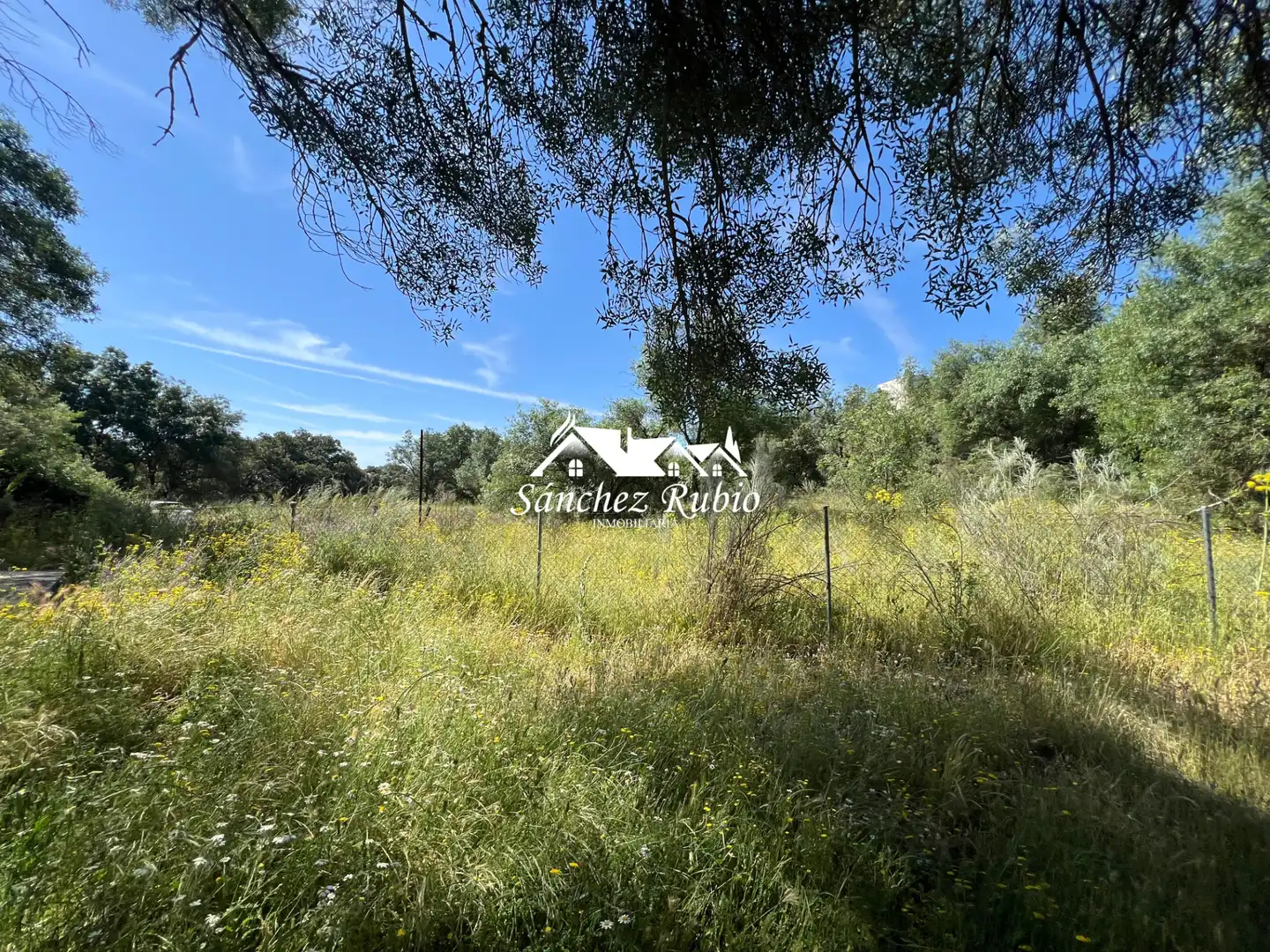 Terreno residencial en venta en Las Matas  - Peñascales, imagen 14