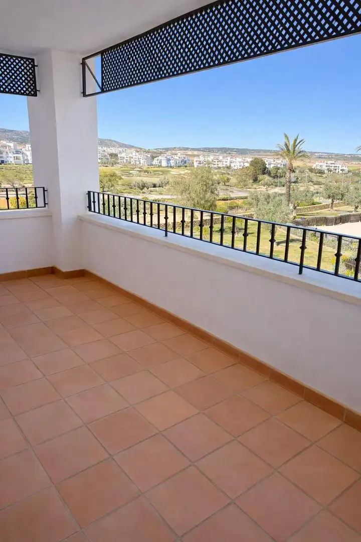 Apartament amb terrassa de lloguer a Calle HACIENDA RIQUELME VIAL C 8, imagen 14